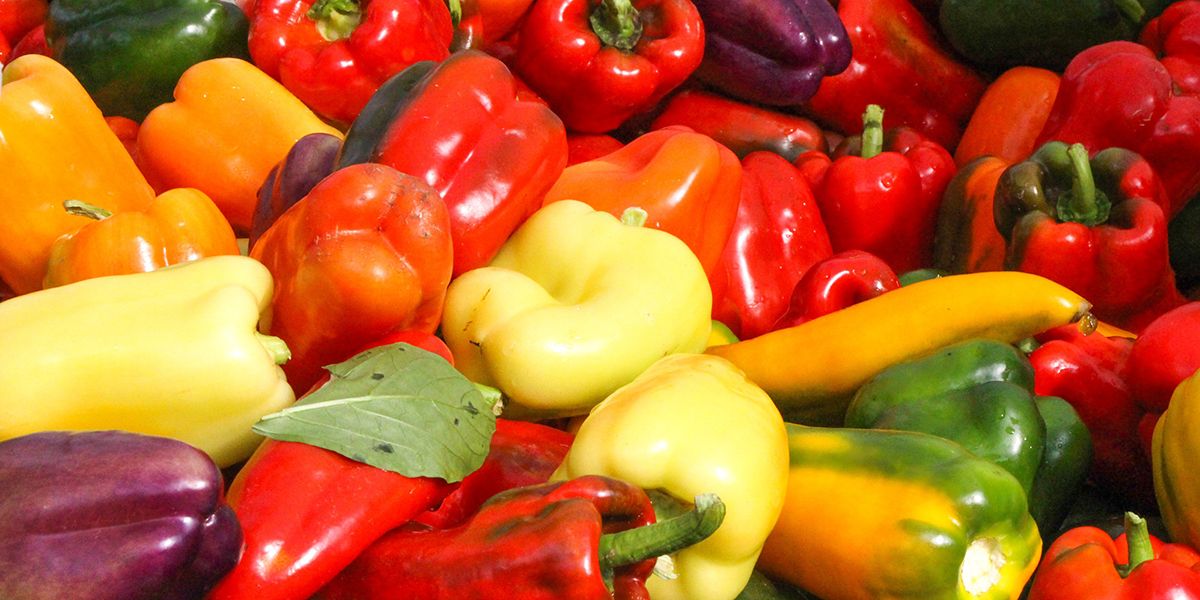 Piments et poivrons : déchiffrer les ardeurs de la famille Capsicum