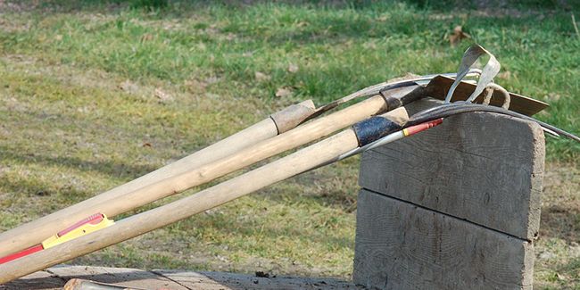 Quel bois choisir pour les manches d'outils de jardin ?