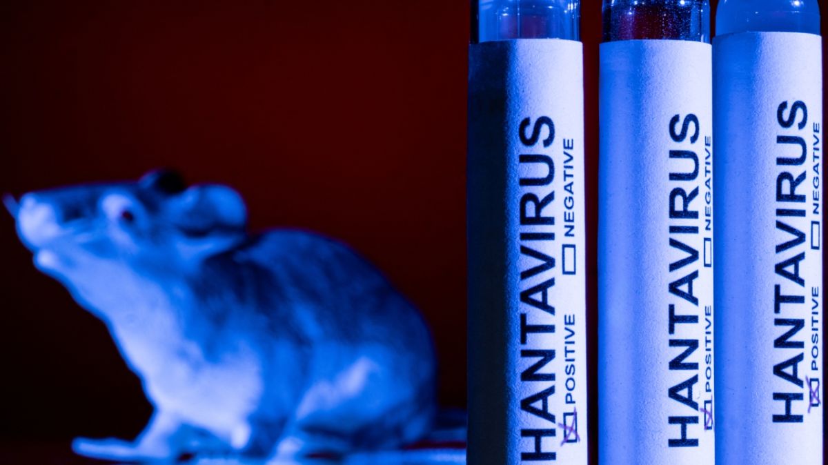 Hantavirus : des réponses attendues sur les risques et les cas contacts