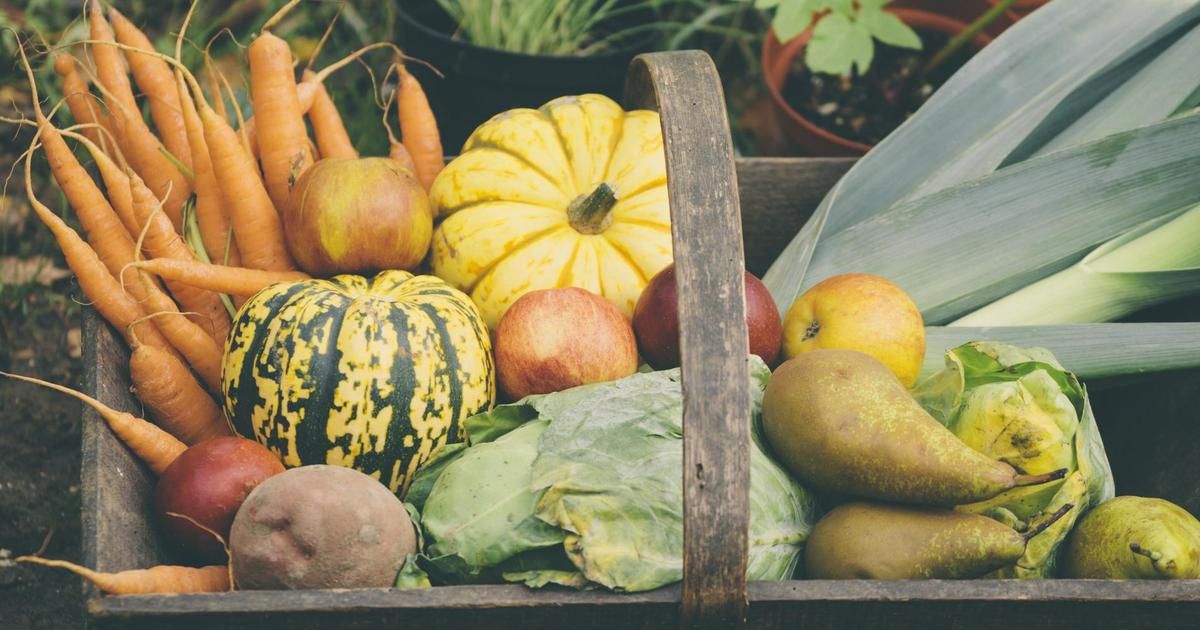 Les délices de l'automne : fruits, légumes et saveurs à découvrir