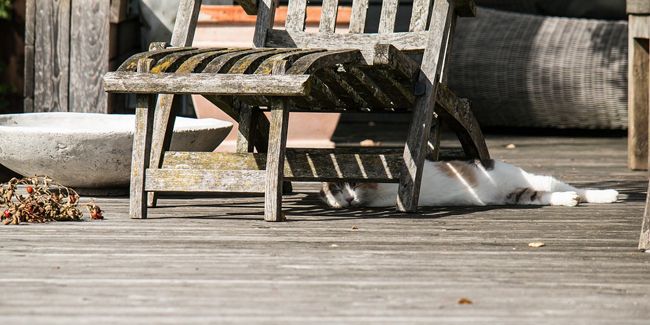 Retrouvez une terrasse impeccable sans chimie : nos astuces naturelles
