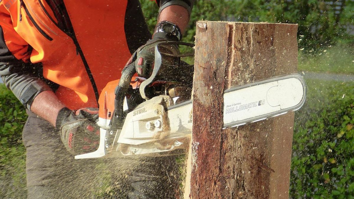 Une tragédie en forêt : le corps d'un bûcheron retrouvé dans le Cher