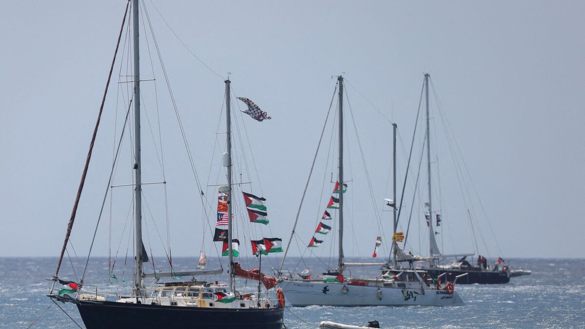 Témoignage choc d'un militant belge sur les violences à Gaza
