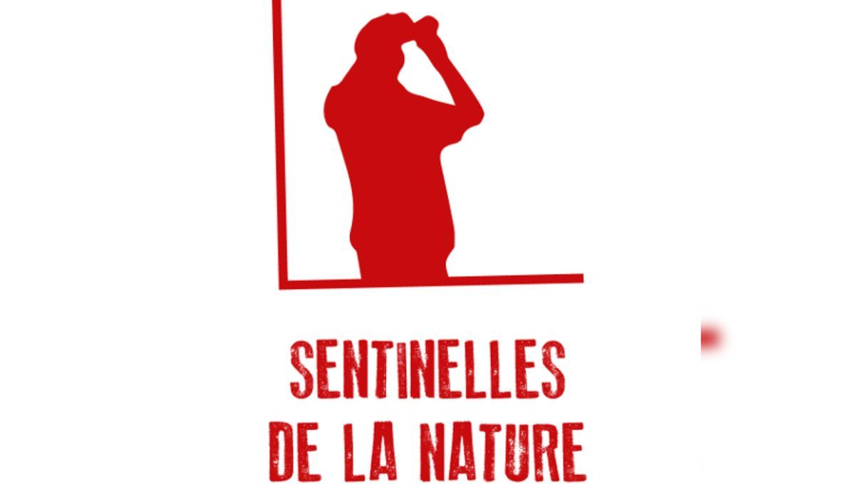Agir pour la nature : découvrez l'appli 'Sentinelles de la Nature'