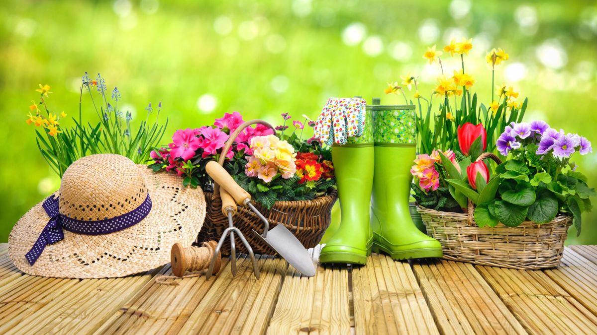 Préparez votre jardin pour le printemps : conseils experts