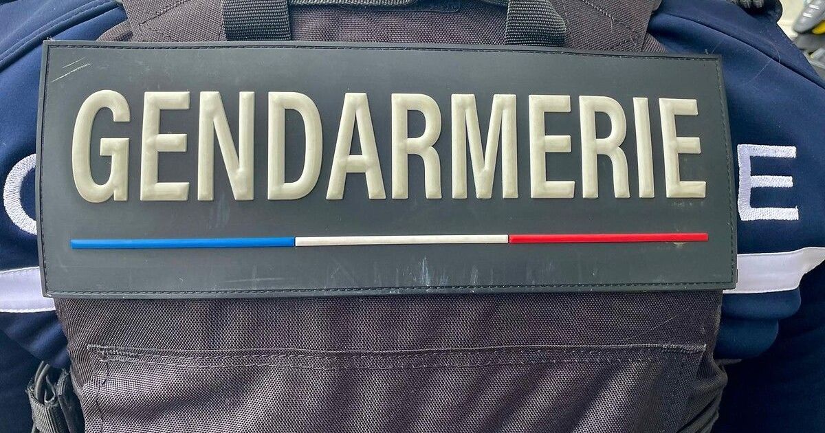 Tragedie au Tranger : une retraitée perd la vie dans une attaque de chiens