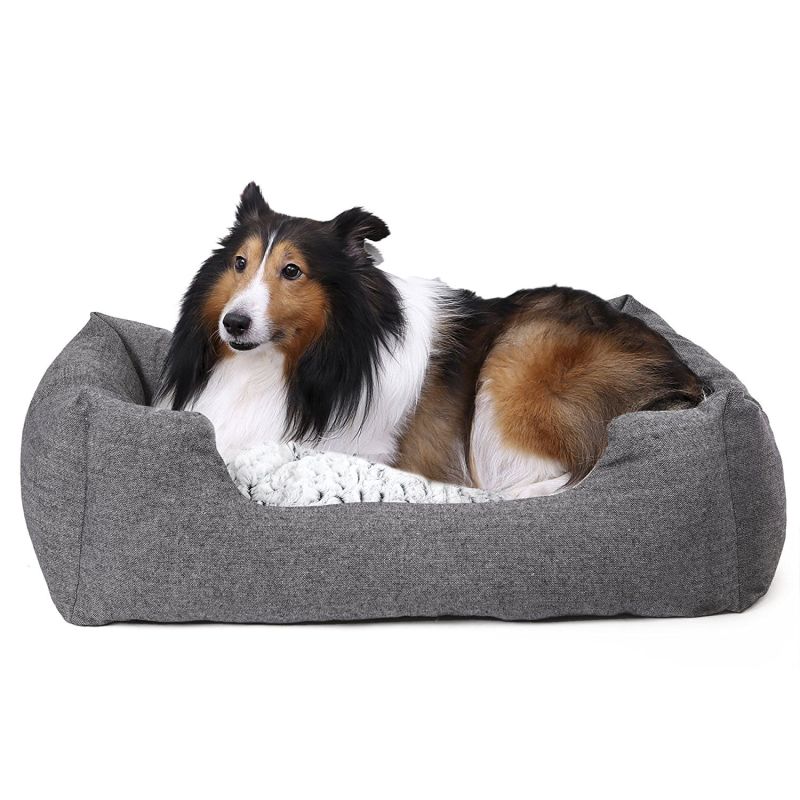 découvrez le meilleur panier pour votre chien