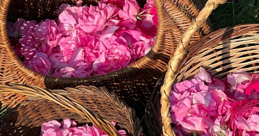 Montcresson célèbre ses premières vendanges florales avec Valérie Demars