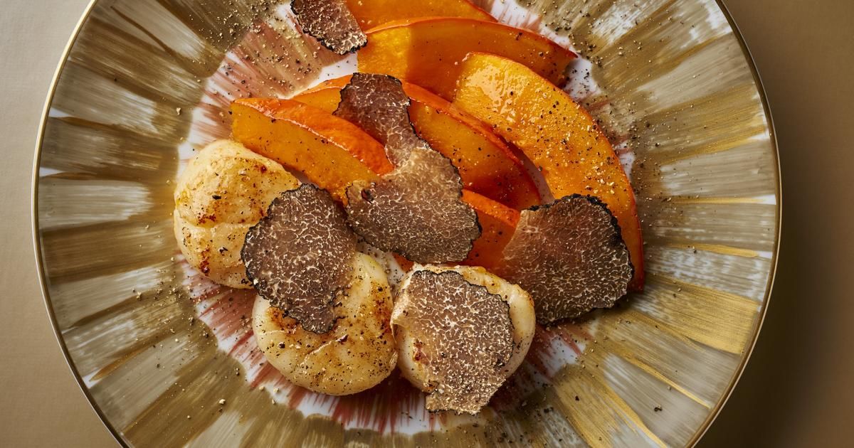 Des recettes de saint-jacques pour un repas festif et raffiné