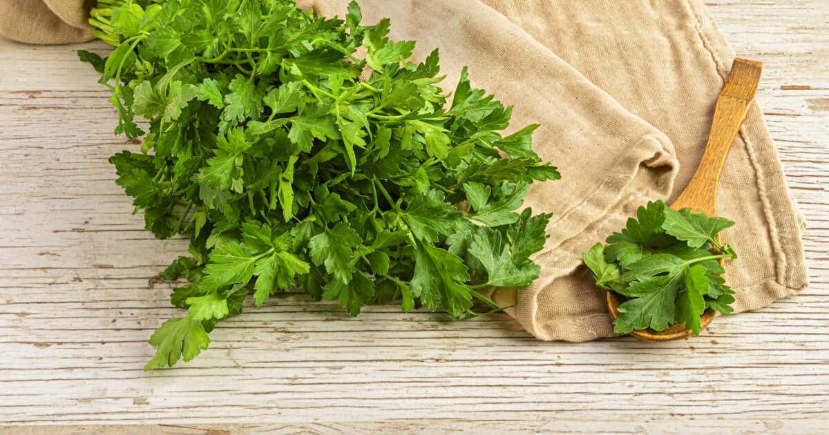 la méthode rapide pour effeuiller persil et coriandre en un rien de temps