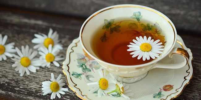 Les secrets de la camomille : une alliée santé à portée de main