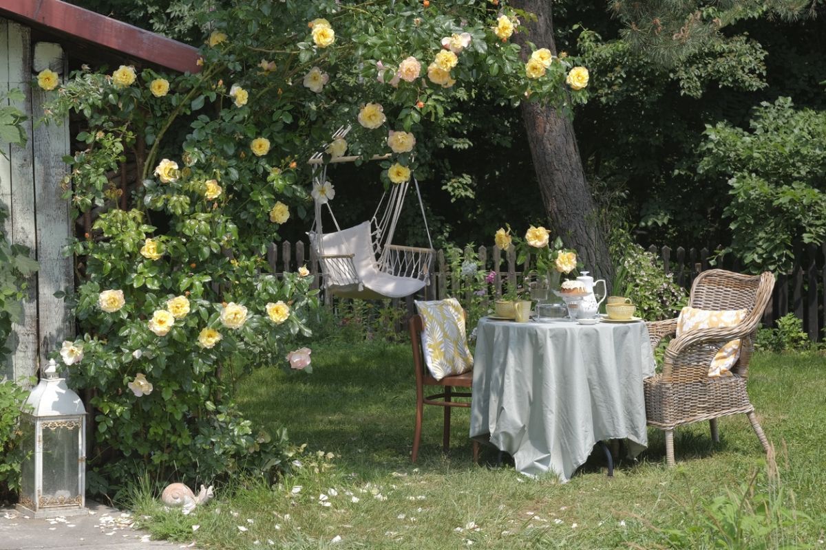 Redonnez vie à vos vieux objets en créant des tuteurs stylés pour votre jardin