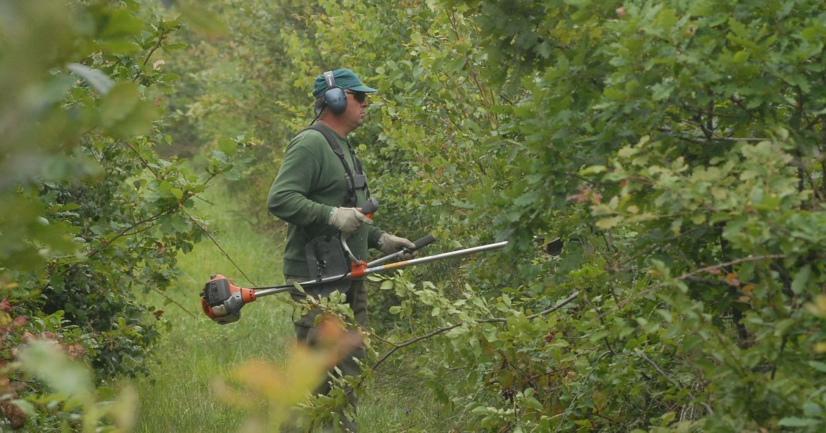 La forêt d'Orléans, nouveau massif à risque incendie : un appel à la vigilance