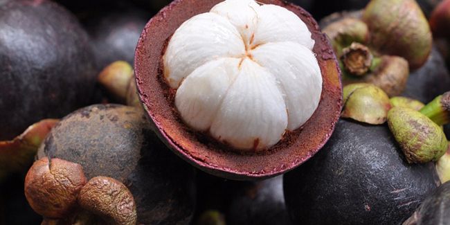 Le mangoustan : le fruit divin aux vertus mystérieuses