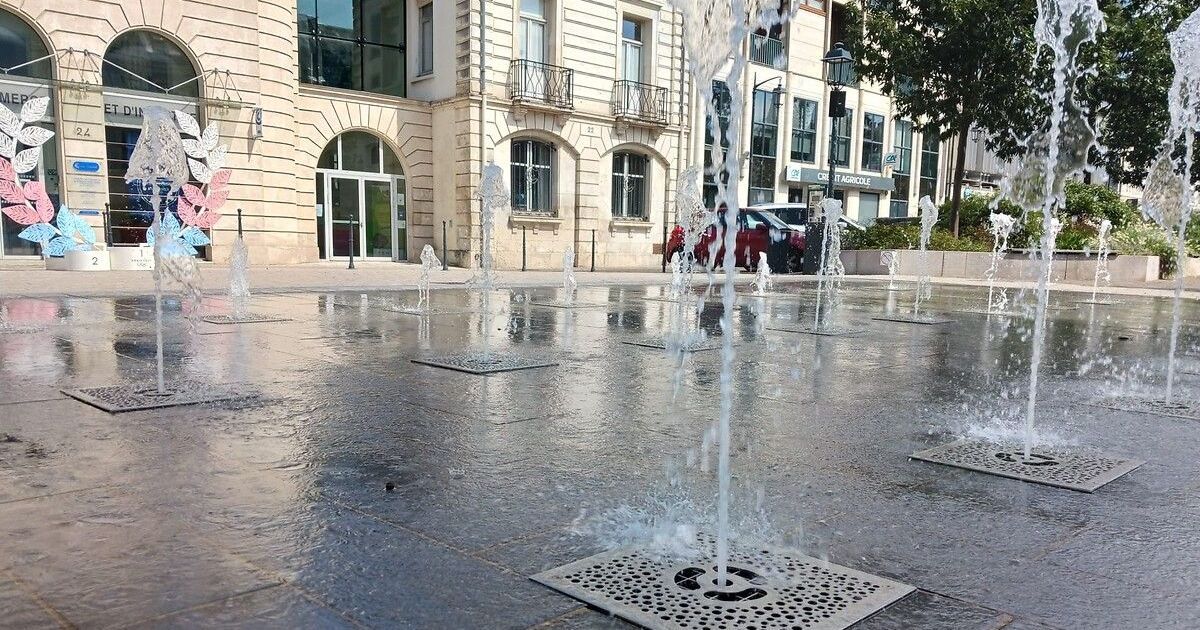 Une vague de chaleur inquiétante s'abat sur l'Indre et le Cher