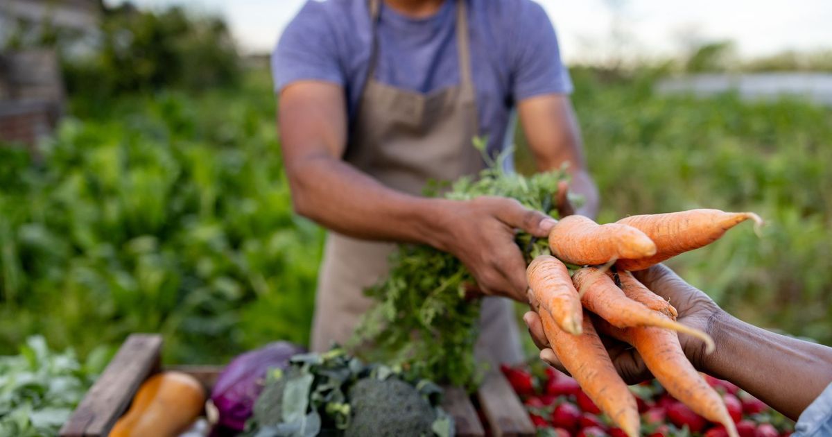 Les Français se tournent vers une alimentation locale et bio