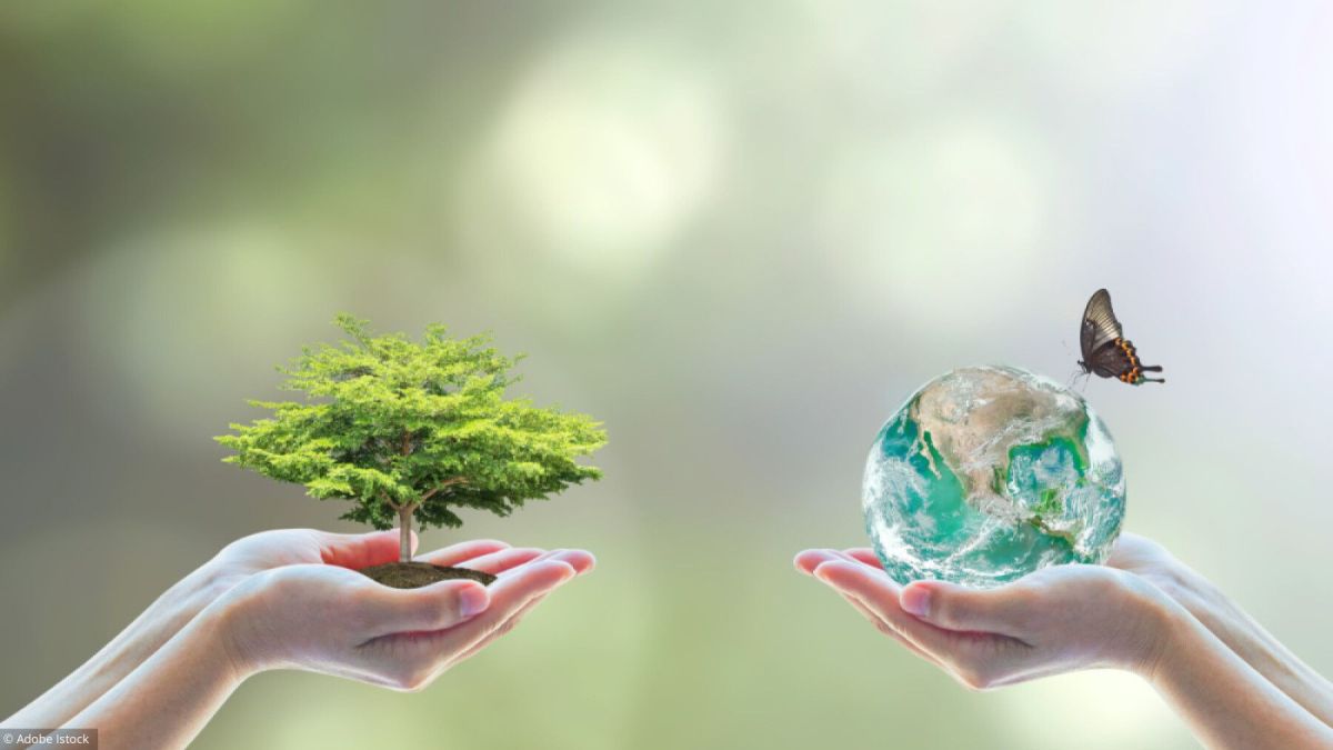 Des gestes simples pour un avenir durable