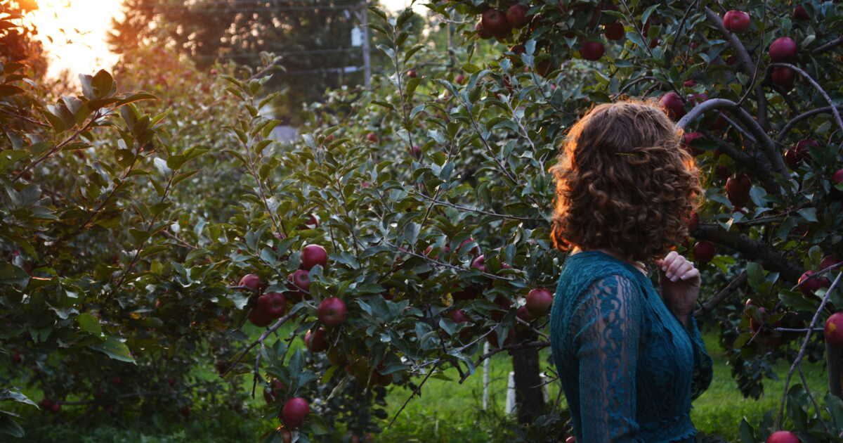 Les bienfaits de la pomme pour la santé
