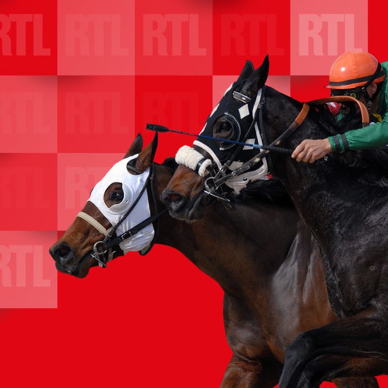 Les pronostics du Quinté du jeudi 28 mai 2026 à Longchamp