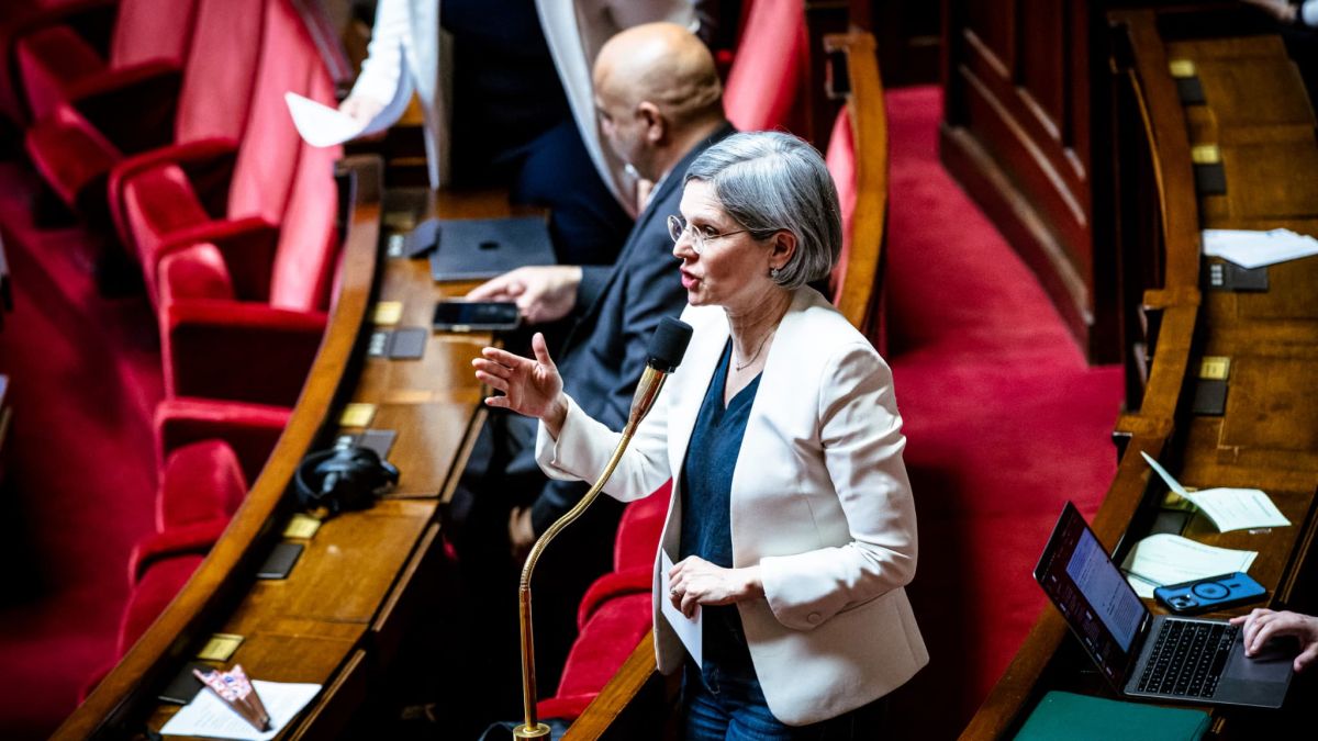 Sandrine Rousseau s'oppose fermement au soutien de Raphaël Glucksmann pour la présidentielle