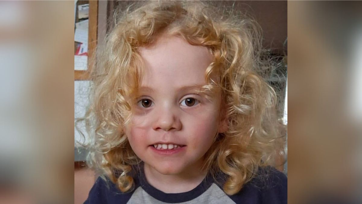 Disparition tragique de Gus Lamont : la police scrute les ruisseaux à la recherche d'indices