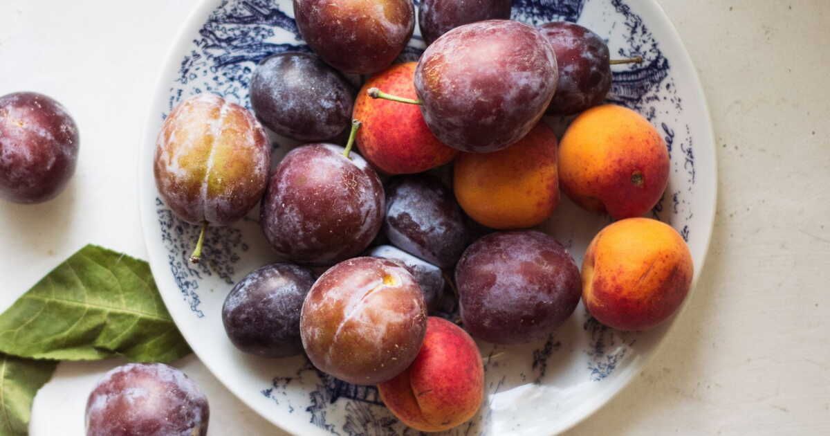 Prunes : la pellicule blanche, un atout méconnu pour la conservation