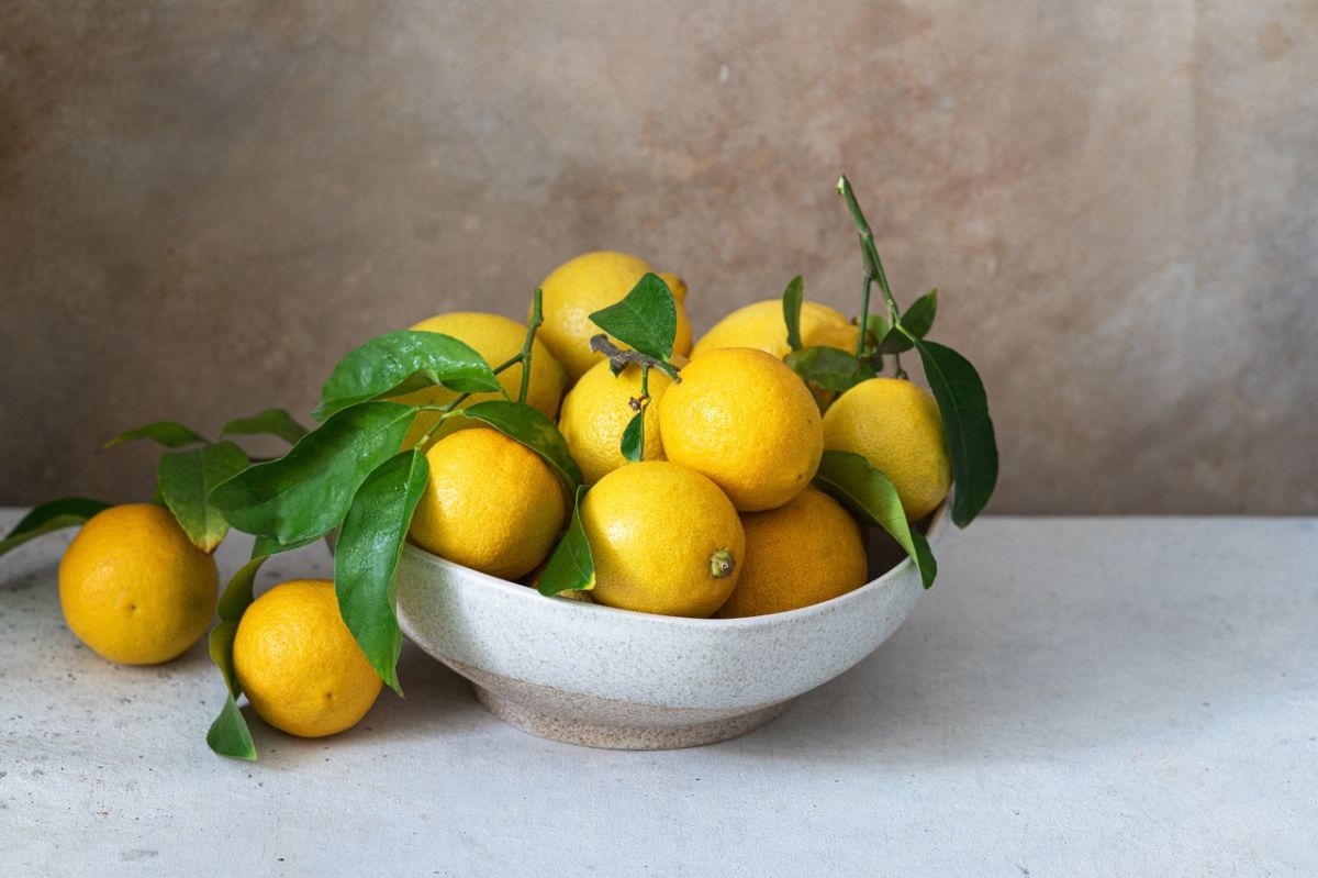 Surpoids et vitamine C : un lien inattendu révélé par une étude
