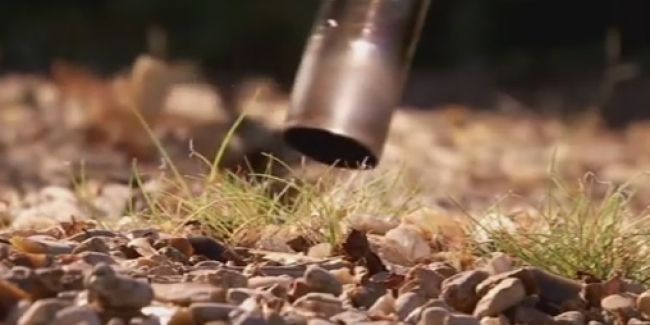 Désherbage thermique : la solution écologique contre les mauvaises herbes