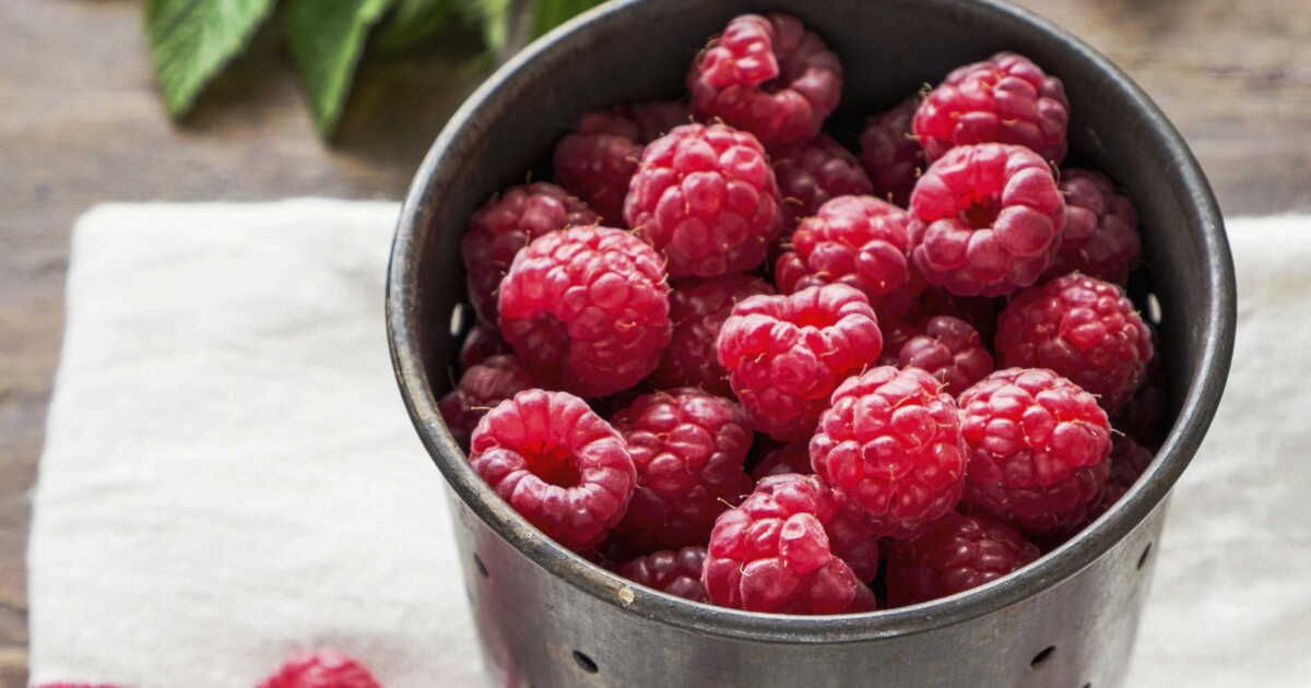 Des délices à la framboise : savourez l'été avec créativité