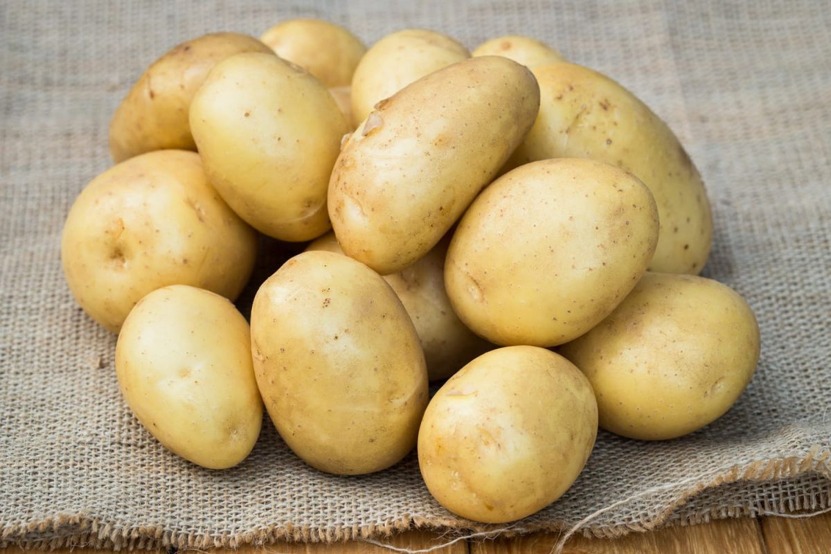 les secrets pour congeler les pommes de terre sans les abîmer