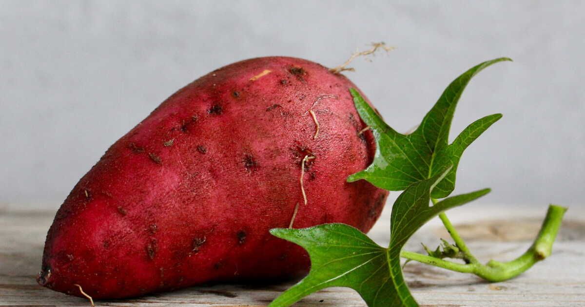 La patate douce, star de nos assiettes