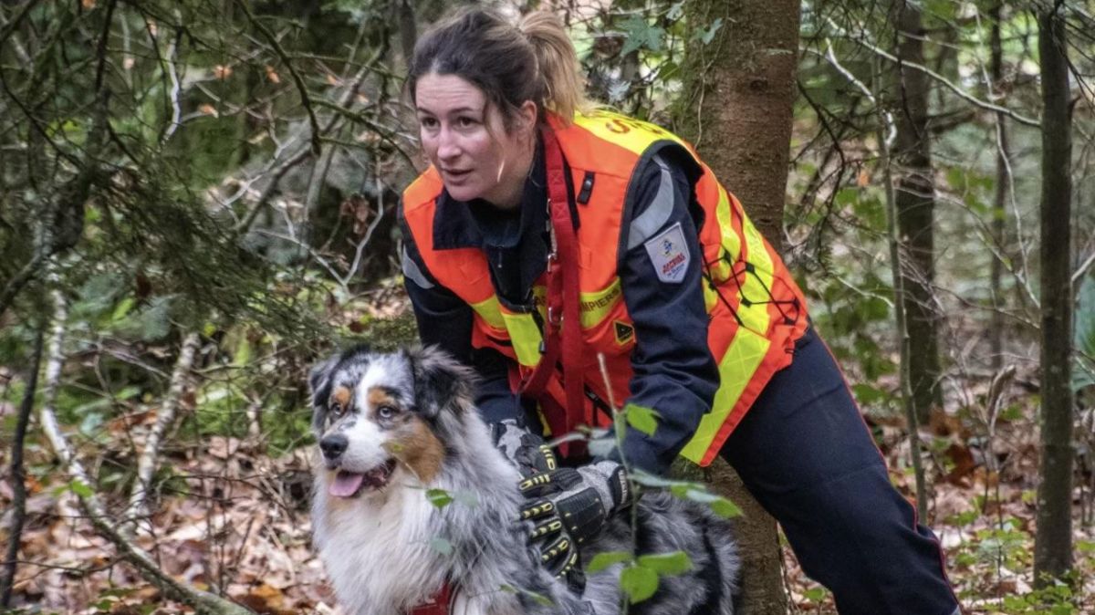 Un miracle à Cinq-Mars-la-Pile : retrouvée grâce à un chien de secours