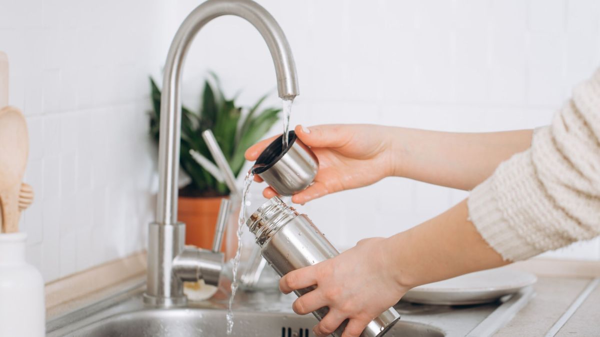 la gourde, un allié santé pleine de surprises bactériennes