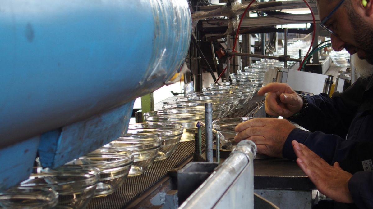 Duralex suspend sa production : une pause pour sauver l'entreprise
