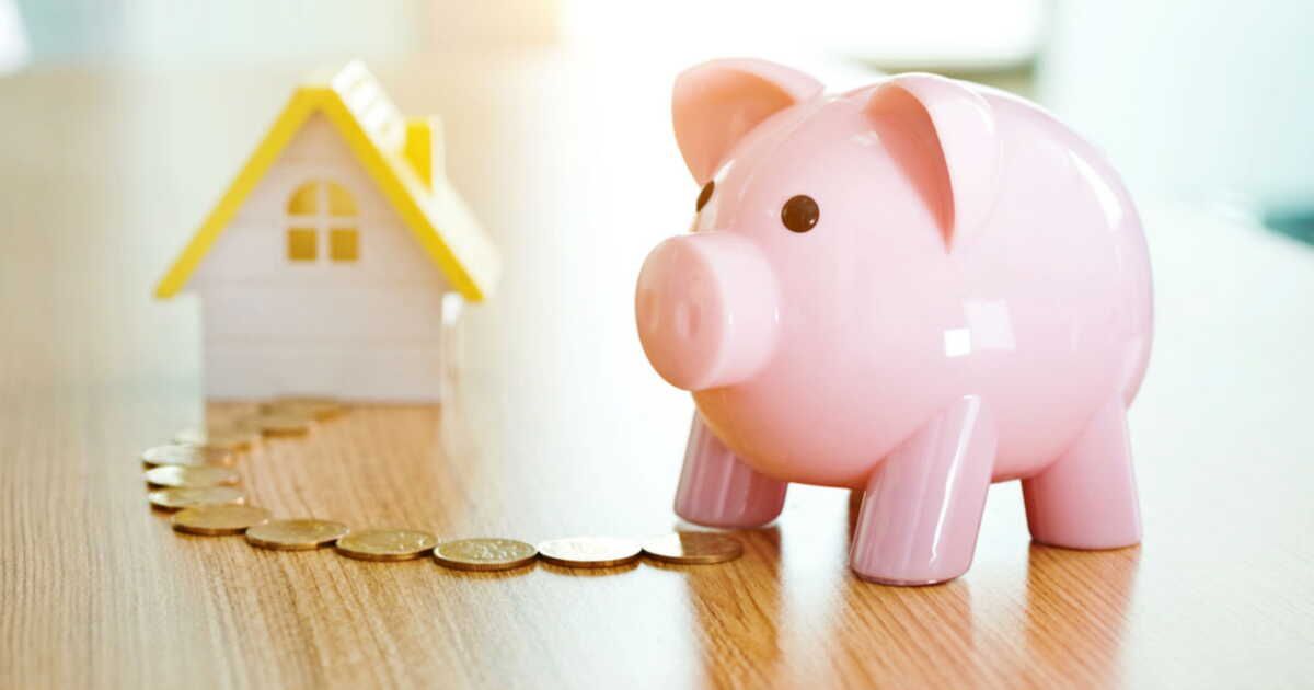 les avantages insoupçonnés de garder votre vieux pel