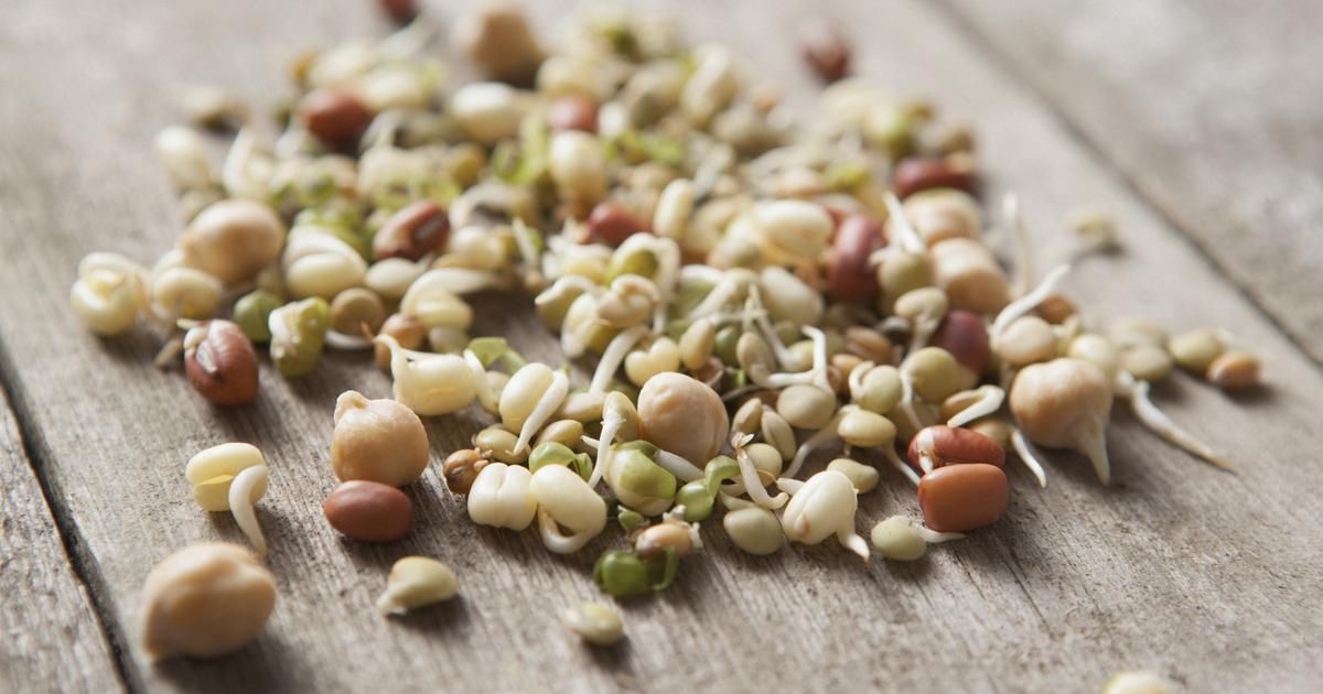 Les graines germées : des trésors nutritifs à intégrer dans votre alimentation