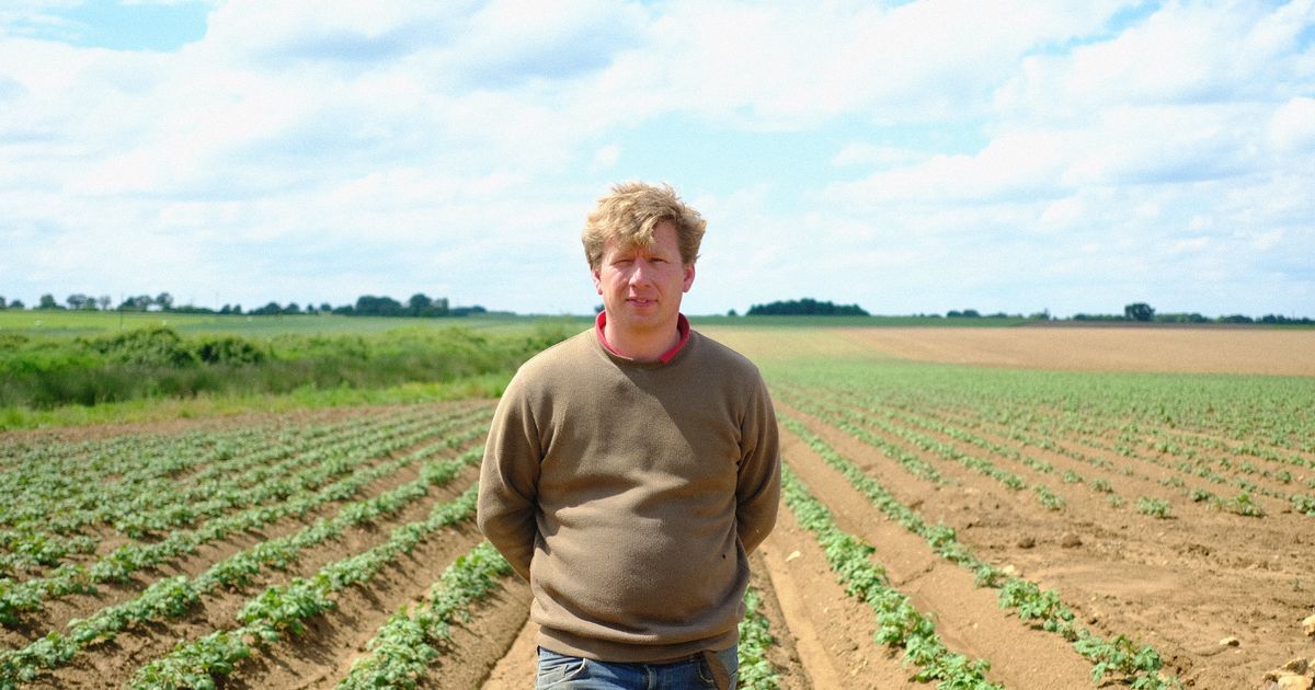 Un producteur de pommes de terre fait le pari de la vente directe dans l'Indre