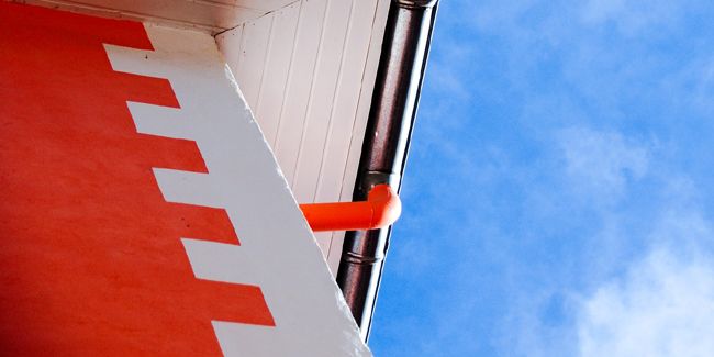 Libérez votre grenier : optez pour le cache-moineaux