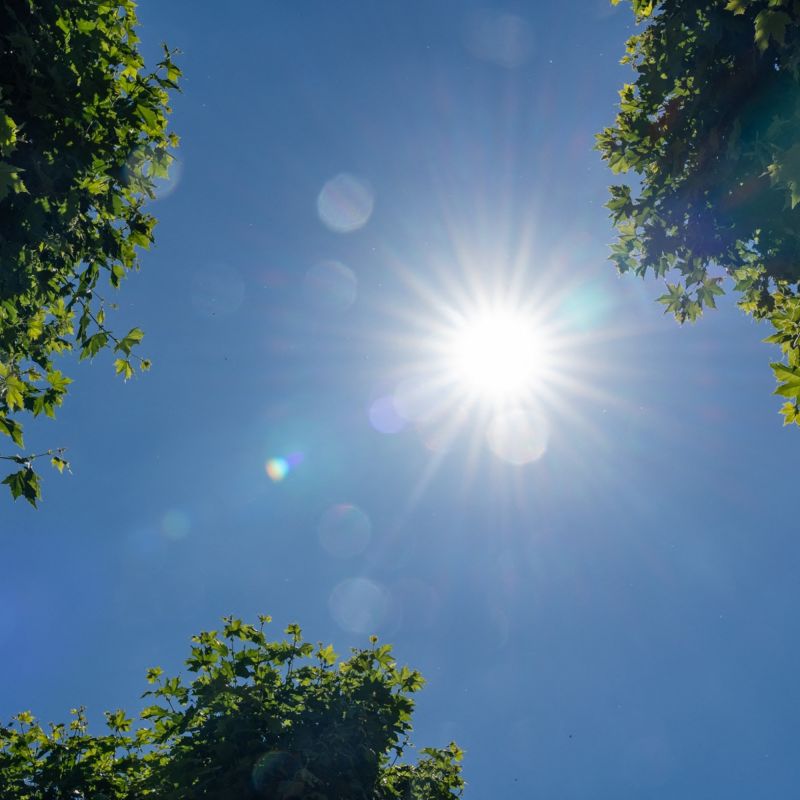 Une carence insoupçonnée : le cas de la vitamine D chez les Français