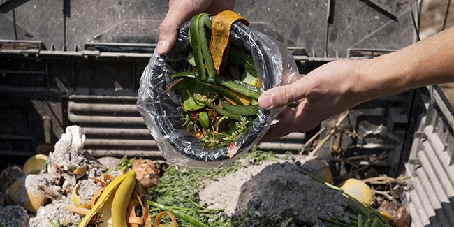 Le guide ultime pour créer son propre compost