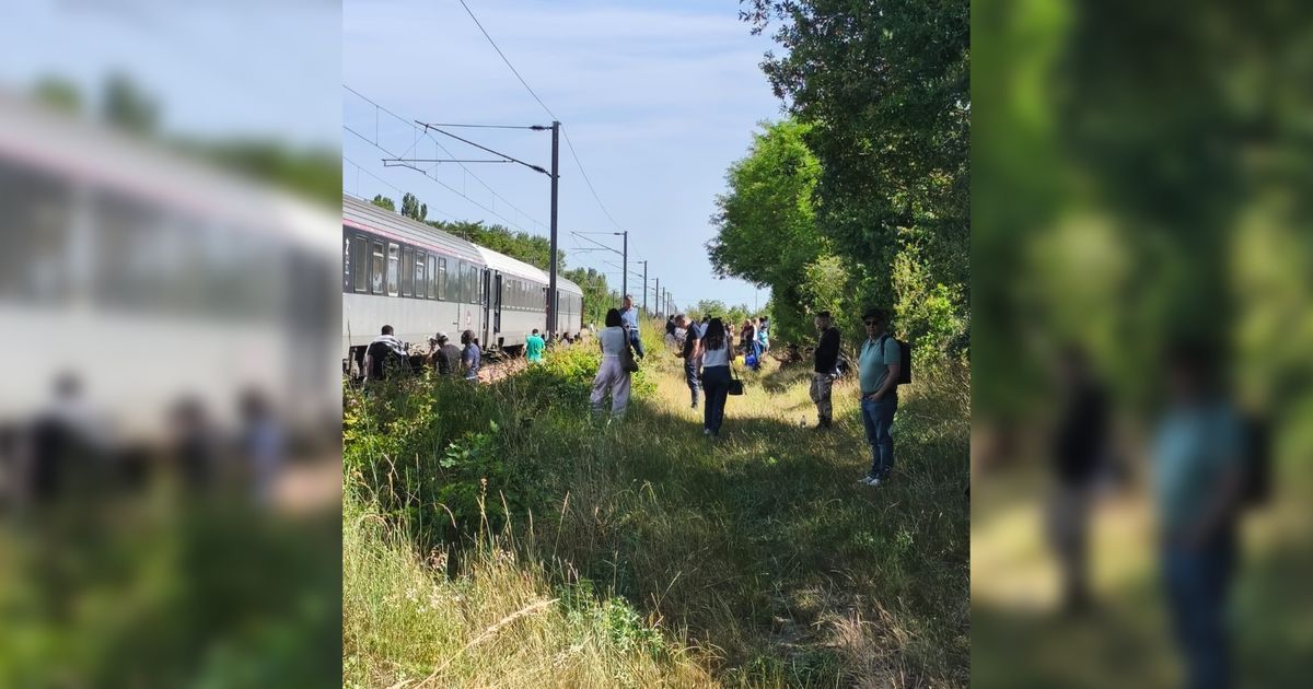 Un voyage interminable : 12 heures pour parcourir 500 km en train