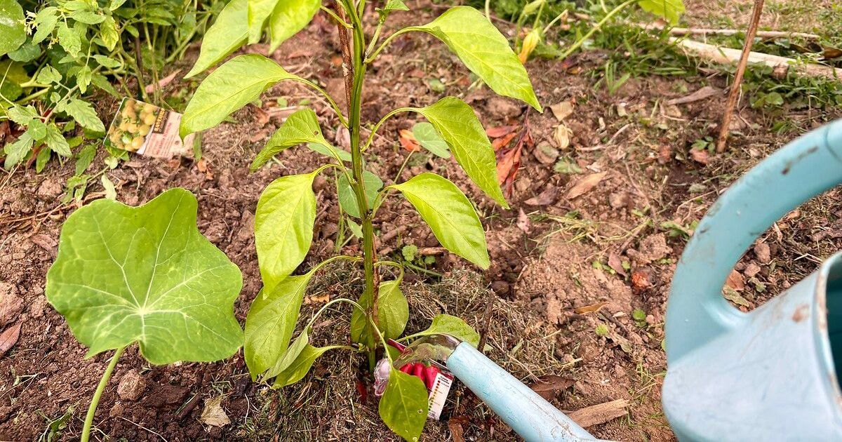 Sécheresse en Creuse : des restrictions d'eau généralisées pour le département