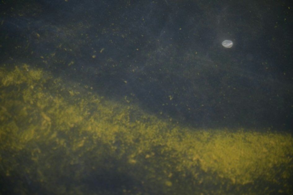 Des vandales à l'origine des déboires du bassin du Lincoln Memorial ?