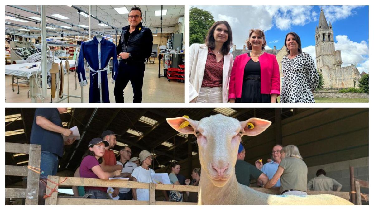 Transmission d'entreprise : le bélier berrichon cartonne et l'été s'annonce festif à Déols