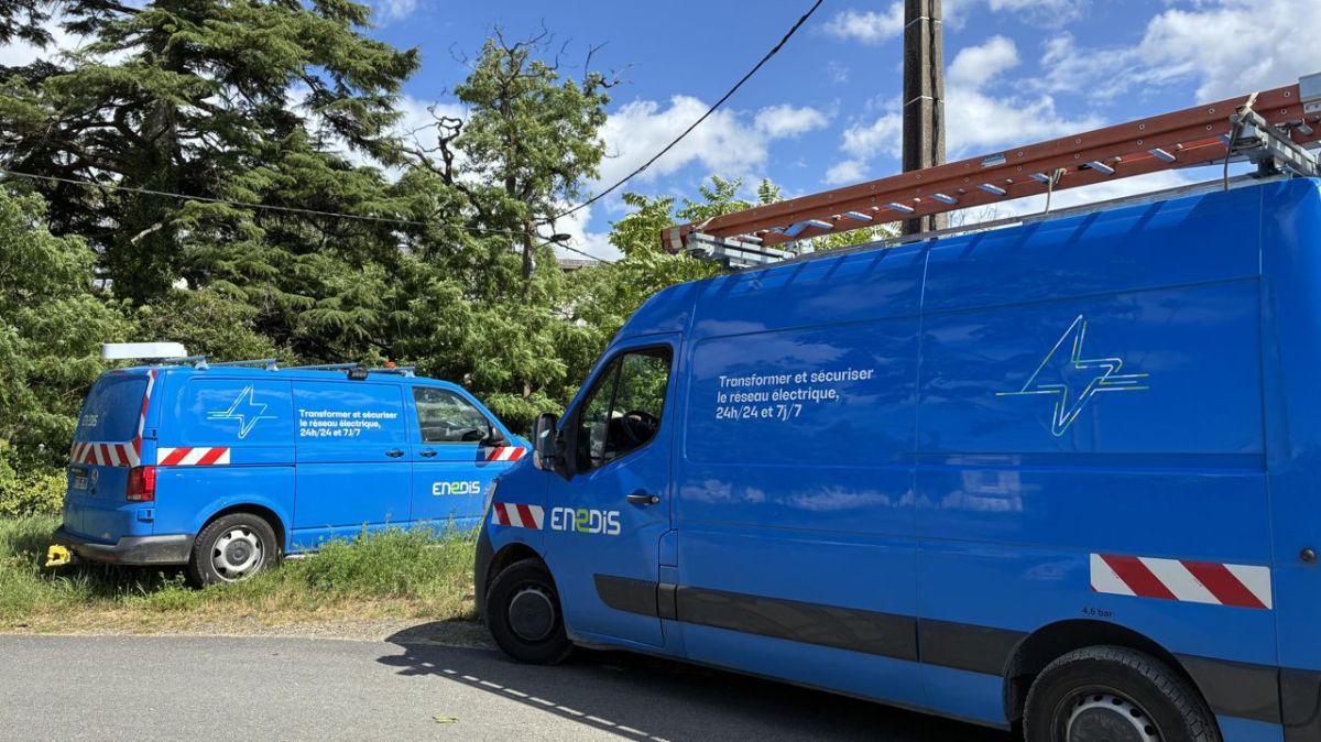 la canicule perturbe l'électricité : jusqu'à 650 foyers touchés en Indre-et-Loire