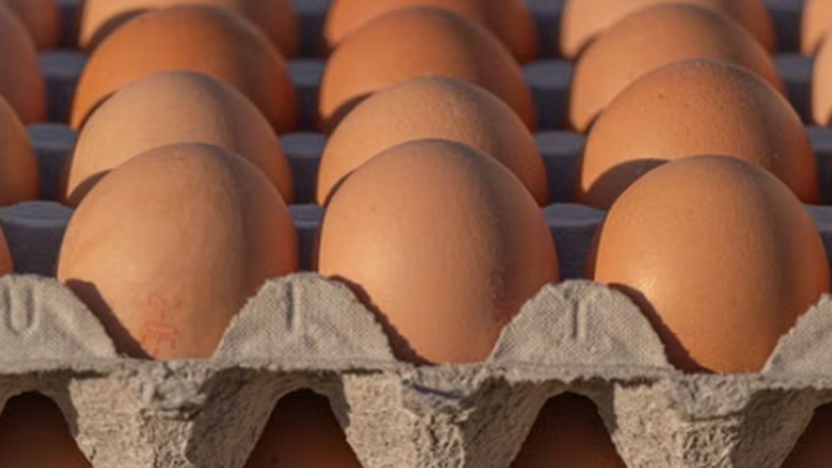 Décryptage : pourquoi les prix des aliments essentiels explosent