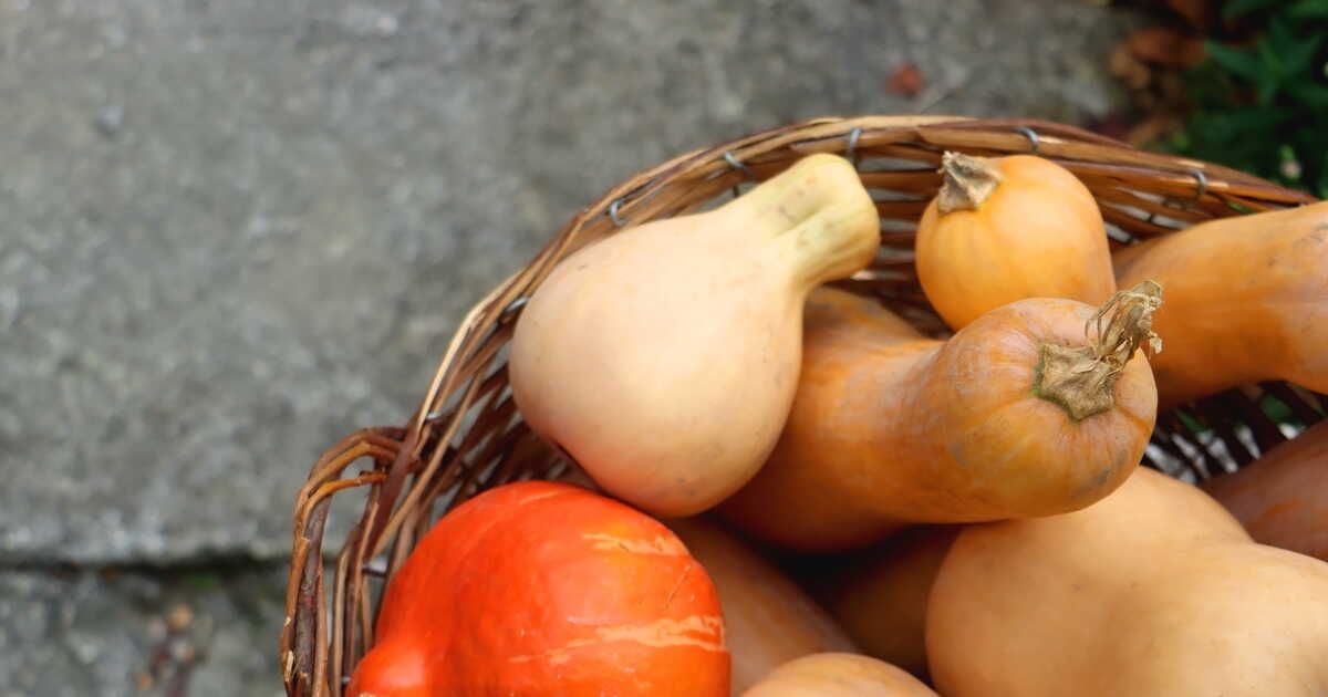 Découvrez les recettes incontournables de courges au four cet automne