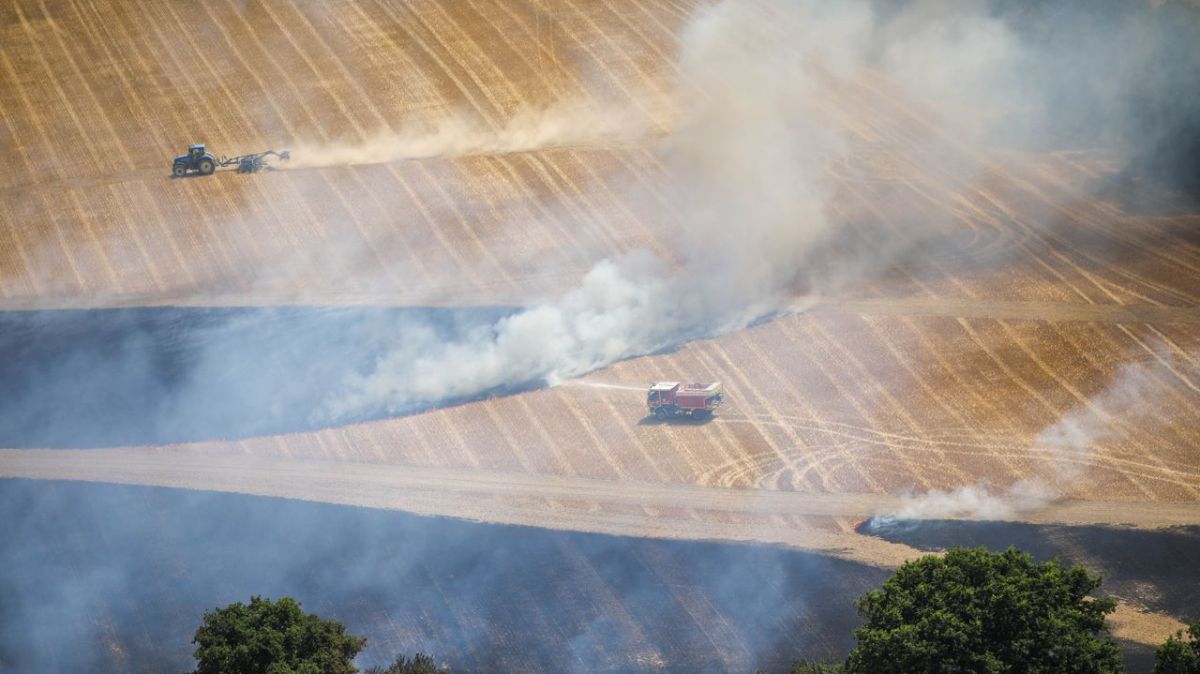Loir-et-Cher : pompiers en première ligne face aux incendies