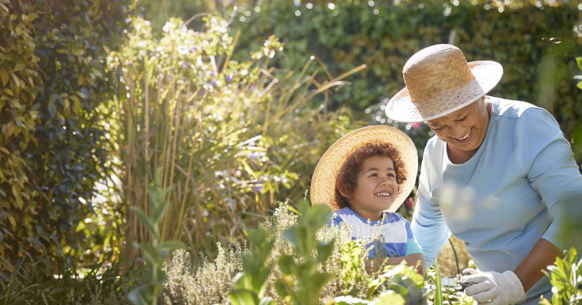 Préparez votre potager pour un été florissant