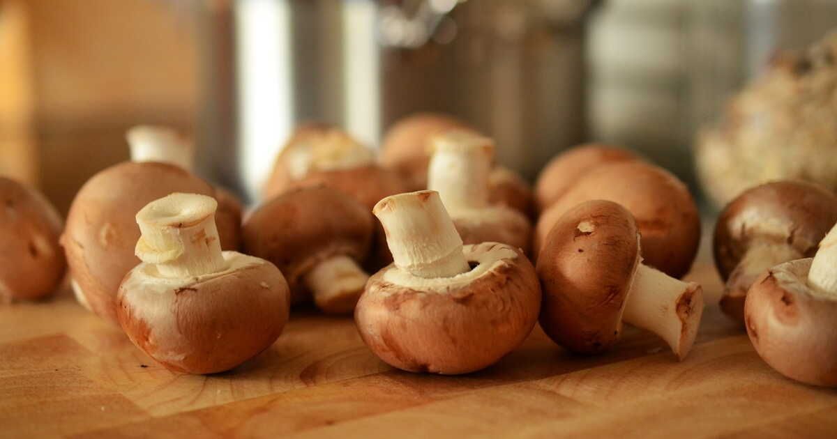 Les secrets d'un bon choix de champignons pour vos recettes d'automne